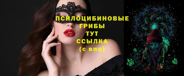 спиды Краснослободск