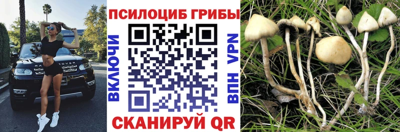 Псилоцибиновые грибы ЛСД  наркошоп  Ливны 
